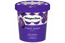 Häagen-Dazs Macaron Vanilla & Blueberry 420ml